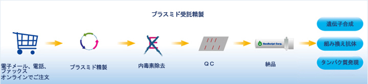 プラスミド受託精製