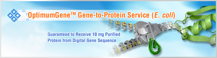 Gene-to-Protein
