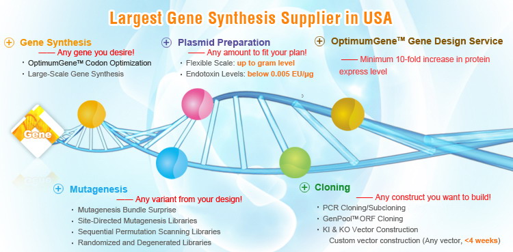 molecular biology services