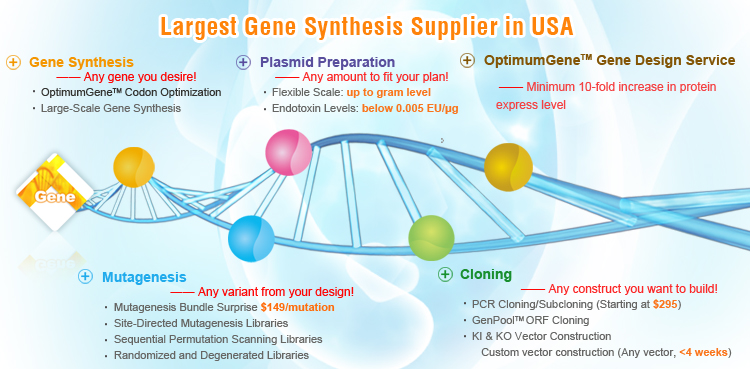 molecular biology services