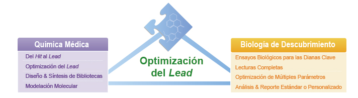 Servicios de la Optimización de Lead