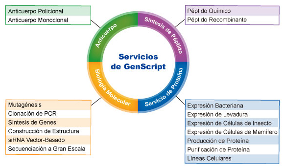 Servicios de GenScript