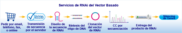 Proceso de RNAi