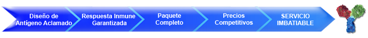 servicio de anticuerpo