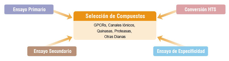 Servicios del Desarrollo de Ensayos