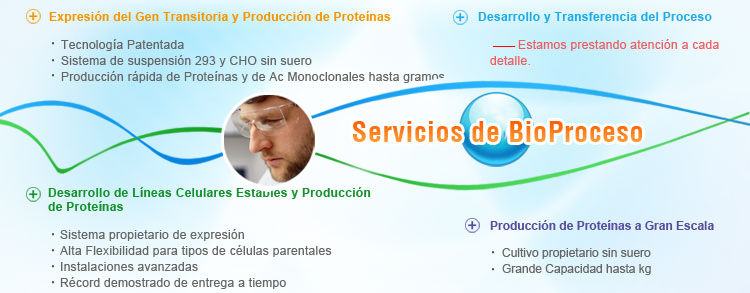 Servicios del BioProceso: Expresión de Mamíferos y producción de Proteínas