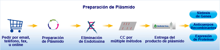 Proceso de preparación de plásmido