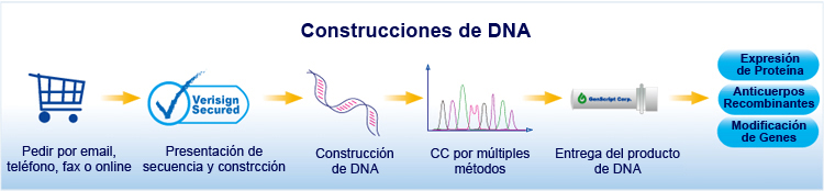 Construcciones de DNA