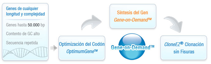 servicio de la síntesis de genes