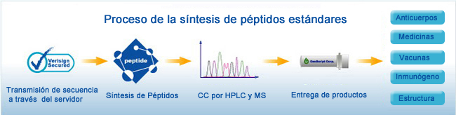Proceso de la síntesis de péptidos estándares