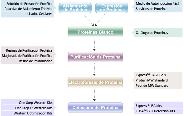 Guía de selección de productos proteícos