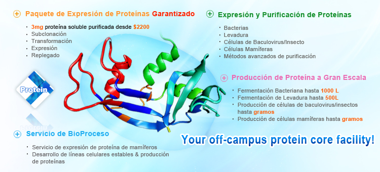 Servicio de Expresión y Purificación de Proteínas Recombinantes Servicio de Expresión y Purificación de Proteínas Recombinantes