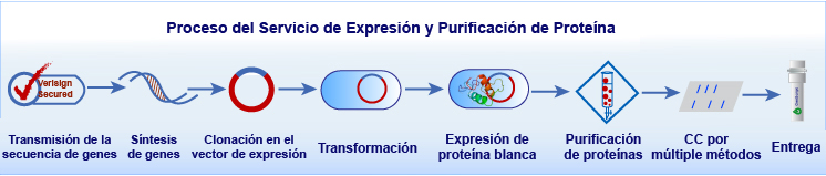 servicios de proteínas