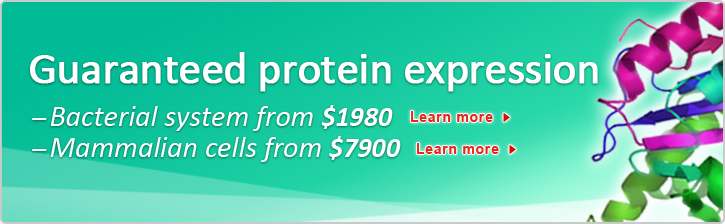 protein
