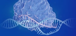 Image 42: FLASH Gene