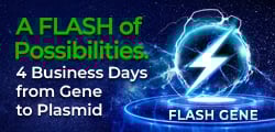 Image 39: FLASH Gene