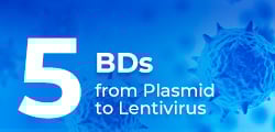 Image 47: Lentivirus Packaging Service