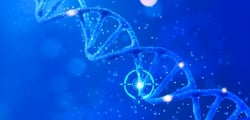 Image 45: siRNA Guarantee Package 