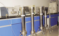 GMP peptide