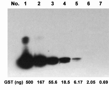 Examples of using One-step Western<sup>TM</sup> Blot Kit