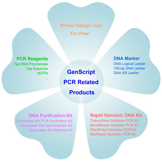 Primer Design Tools,PCR reagents,Taq DNA Polymerase,Taq Supermix,dNTPs,DNA Marker, DNA Logical Ladder, 100bp DNA Ladder, DNA KB Ladder,Tissue Direct Multiplex PCR Kit,BloodReady Multiplex PCR Kit,PlantDirect Multiplex PCR Kit,BacReady Multiplex PCR Kit,DNA Purification Kit,Quickclean 5M PCR Purification Kit,Quickclean 5M Gel Extraction Kit,Quickclean 5M Miniprep Kit