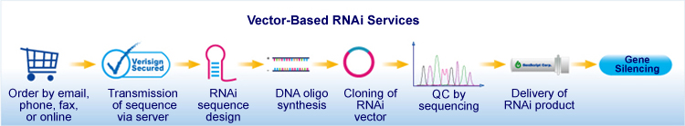 RNAi pipeline