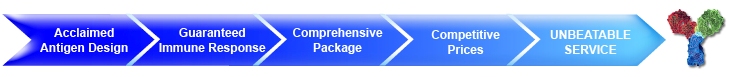 custom antibody service