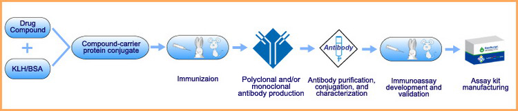 Immunoassay Development Service for Drug Compound Discovery