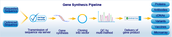 gene synthesis pipeline
