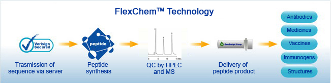 standard chemical peptide synthesis pipeline