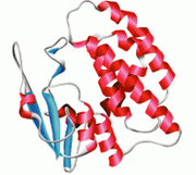 Protein Refolding Services Protein Refolding Services