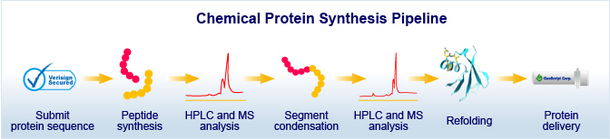 chemical protein synthesis