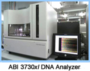 ABI 3730xl DNA Analyzer für DNA-Sequenzierung ABI 3730xl DNA Analyzer für DNA-Sequenzierung