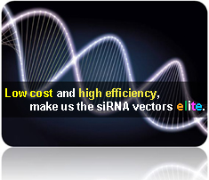 Vector-Based siRNA Services