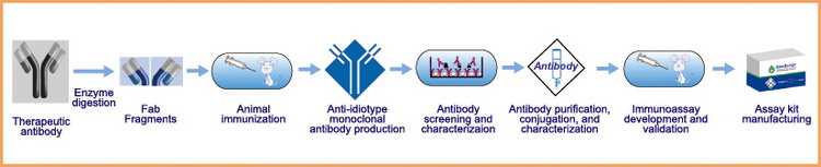 Immunoassay Development Service for Therapeutic Antibody Detection