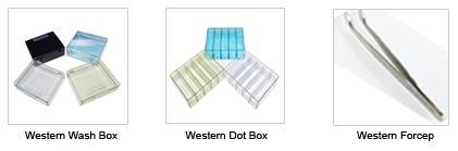 western blot forceps, wash box, dot blot box