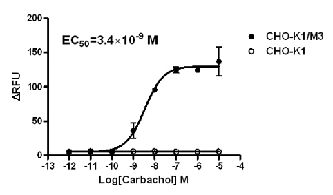 Human Recombinant M3 Acetylcholine (muscarinic) Receptor Stable Cell Line