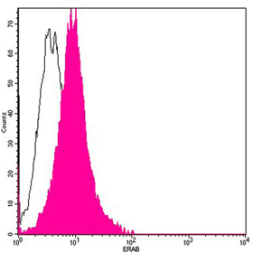 ERAB Antibody, pAb, Rabbit