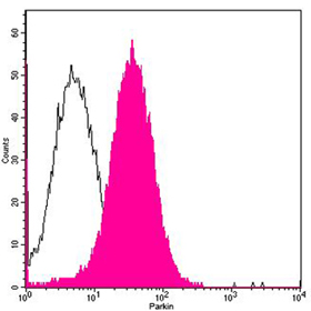 Parkin Antibody, pAb, Rabbit
