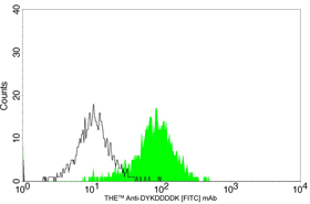 DYKDDDDK [FITC] mAb