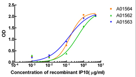 IP-10 Antibody