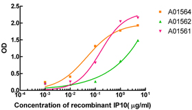 IP10 Antibody (1H7D6), mAb, Mouse