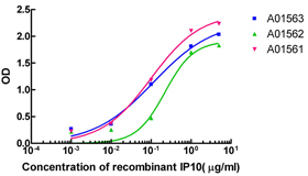 IP10 Antibody