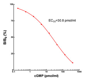 cGMP Antibody