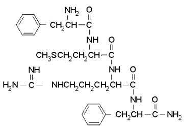 FMRF-amide Structure