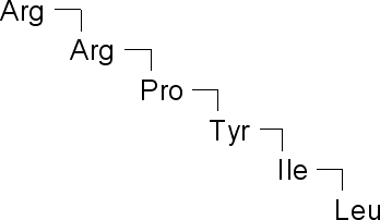 Neurotensin (8-13)Structure Neurotensin (8-13) Structure