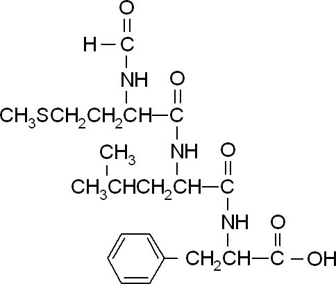 N-Formyl-Met-Leu-Phe Structure