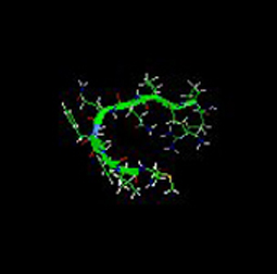 Substance P Example Substance P Example