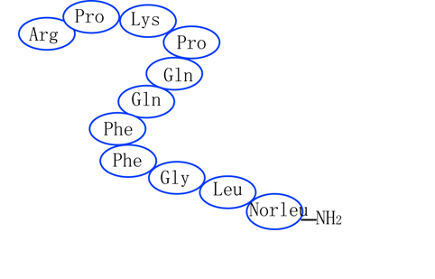 [Nle<sup>11</sup>]-Substance P Structure