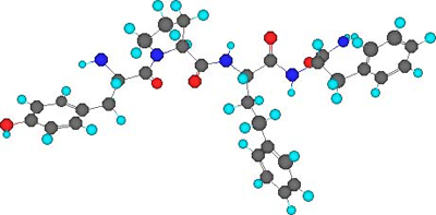 Endomorphin-2 Structure